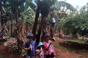 fruit farm tour