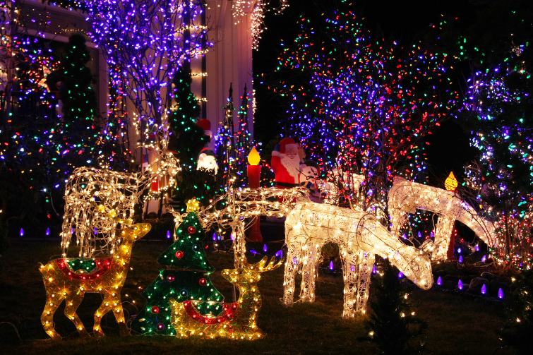 best christmas lights in australia, reindeer in a christmas lights display.